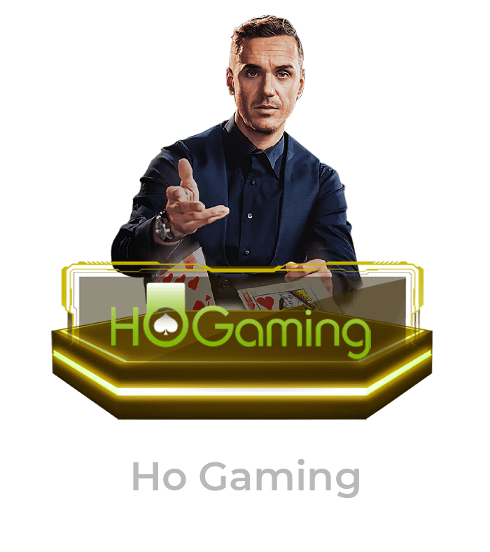 ho-gaming (1)